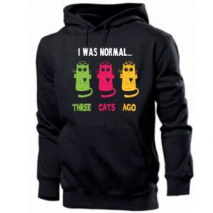 Bluza z kapturem męska z kotami Cat was normal