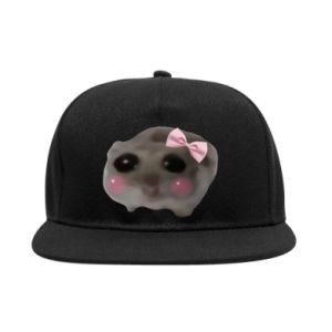 Czapki Snapback