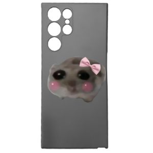 Samsung S22 Ultra