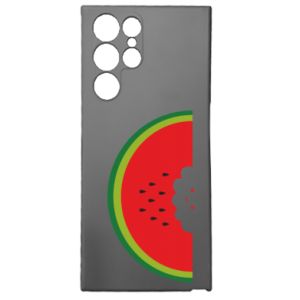 Samsung S22 Ultra