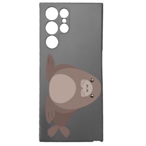 Samsung S22 Ultra