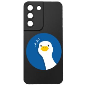 Samsung S22