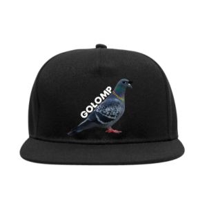Czapki Snapback