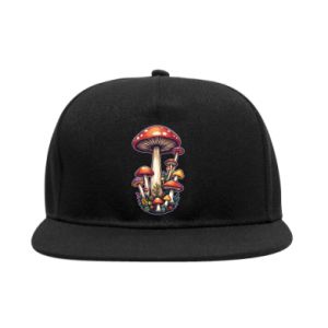 Czapki Snapback