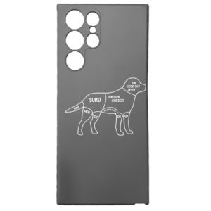 Samsung S22 Ultra