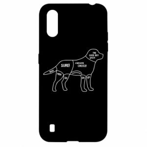 Samsung A01/M01
