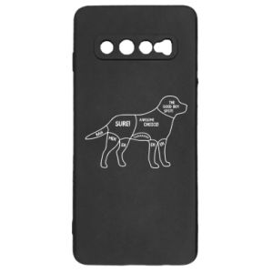 Samsung S10