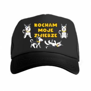 Czapki Trucker