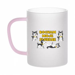 Kubki szronione dwukolorowe