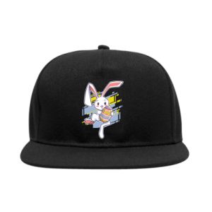 Czapki Snapback
