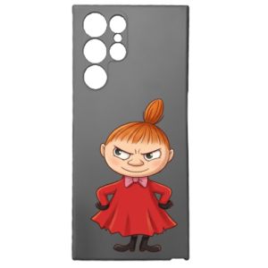 Samsung S22 Ultra