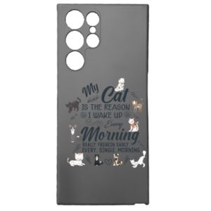Samsung S22 Ultra
