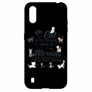 Samsung A01/M01