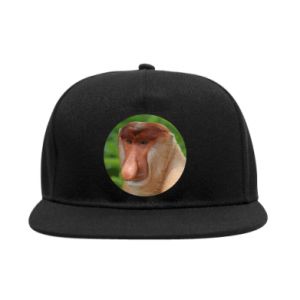 Czapki Snapback