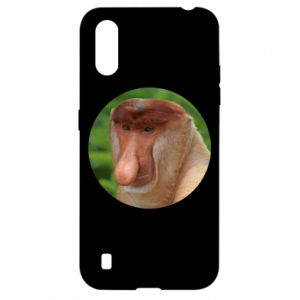 Samsung A01/M01