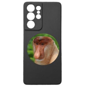 Samsung S21 Ultra
