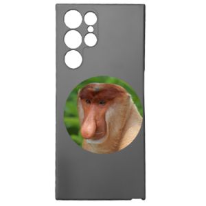 Samsung S22 Ultra