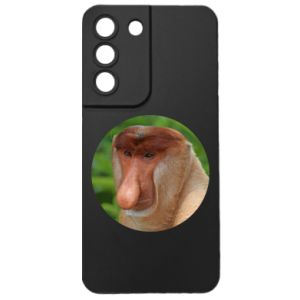 Samsung S22