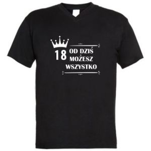 Koszulki V-neck męskie
