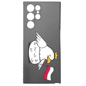 Samsung S22 Ultra