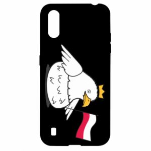 Samsung A01/M01