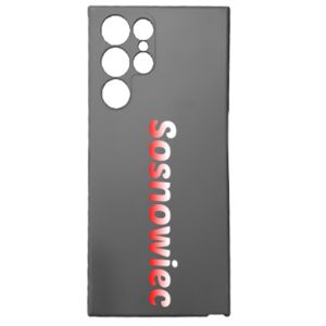Samsung S22 Ultra
