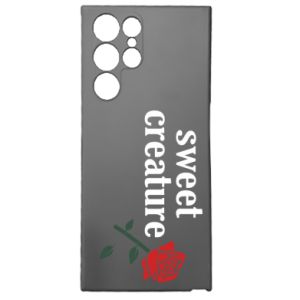 Samsung S22 Ultra