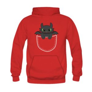 Bluza z kapturem dziecięca Szczerbatek smok w twojej kieszeni