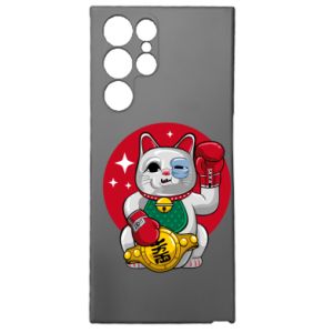Samsung S22 Ultra