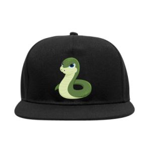 Czapki Snapback