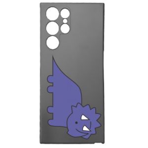 Samsung S22 Ultra